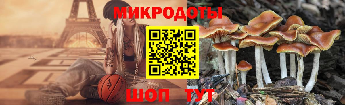 Галлюциногенные грибы Psilocybe Семёнов